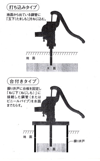 ���M�H�ƁF ��ˌ`���ƃ|���v���